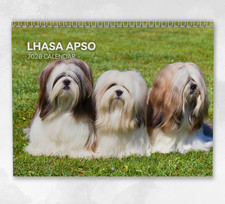 Calendario Lhasa Apso 2026: calendario mensile da parete con note, si apre in formato A3