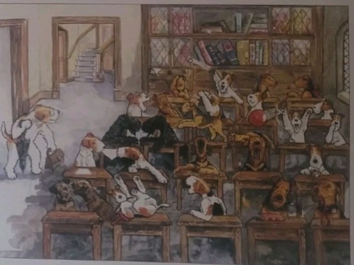 Stampa scuola fox terrier - scuola,