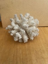 Corallo Marino Bianco Naturale - Albero di Corallo – Arredo Vintage