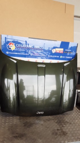 Cofano ant k55177200af - cofano,