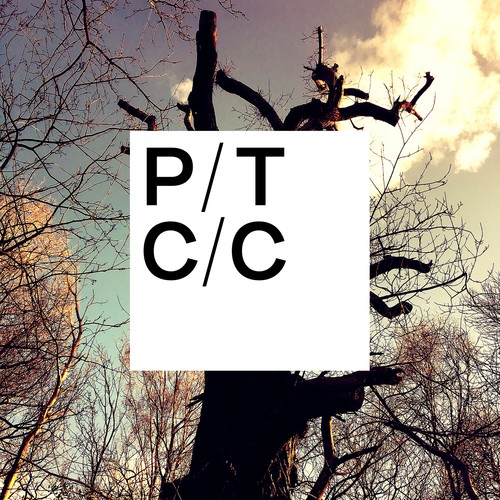 Porcupine tree - porcupine,