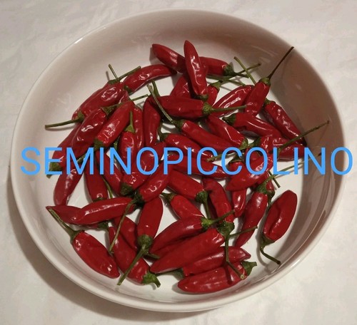 Semi peperoncino piccante a - 25,