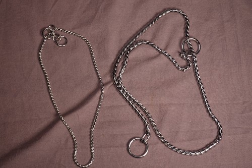 Collari cani expò - expò, esposizione