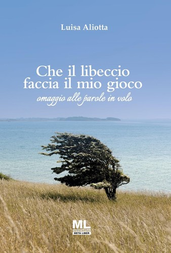 Che libeccio faccia - che, mio