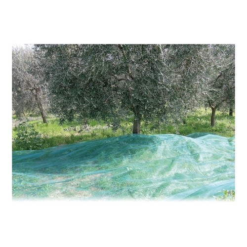 Telo rete per raccolta - telo,