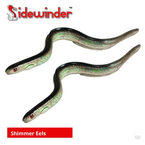 Sidewinder shimmer eels - shimmer,