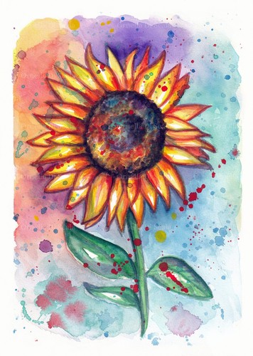 Acquerello girasole dipinto - , a