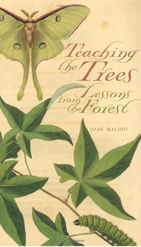 Teaching the trees lessons - trees,