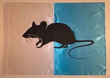 BANDIERA AS ROMA DERBY FANS