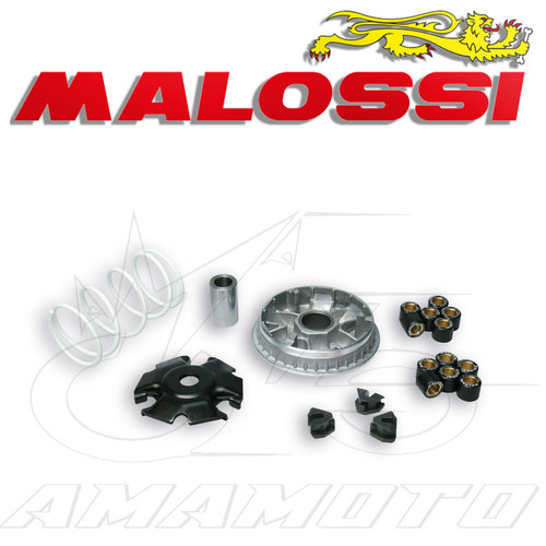 Variatore malossi multivar - variatore,