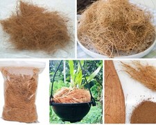 Coconut Husk Fibra Anthurium