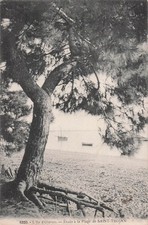 17 SAINT TROJAN LES BAINS