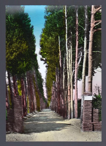 Gambarie aspromonte reggio - d',