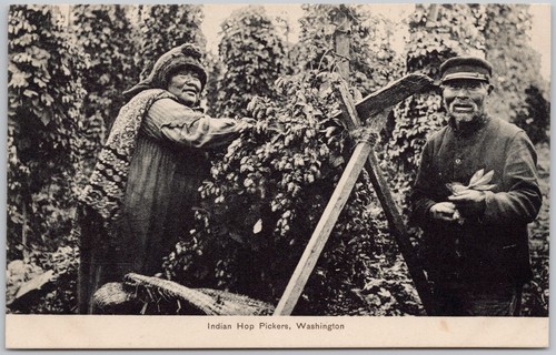 Cartolina indian hop pickers - indian,