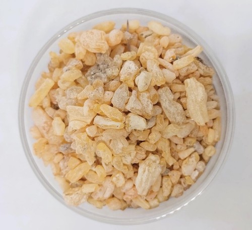 Sandaraca antica resina - antica,