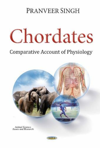 Chordates comparative - chordates, :