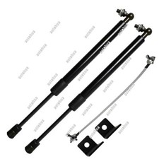 Puntoni cofano cofano per Ford