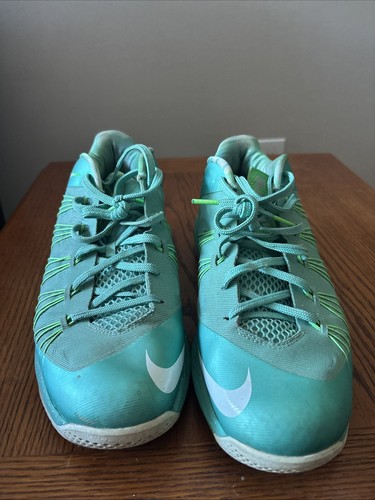 Nike lebron low easter - x,
