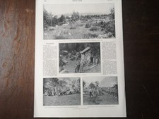 RK 1915 Stampa giornale 3768