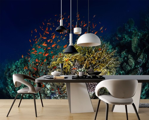 Carta parati pesce rosso 3d - pesce,