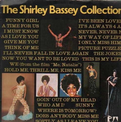 2xlp the shirley - 2xlp,