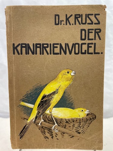Der kanarienvogel seine - kanarienvogel,