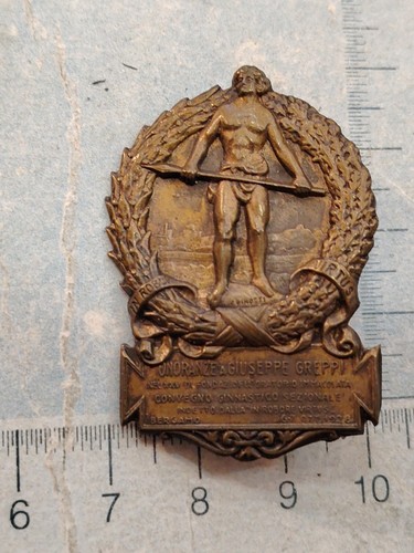 Distintivo società ginnastica - società,