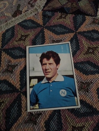 Figurina panini calciatori - figurina,