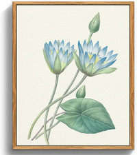 Quadri Vintage Botanico