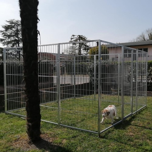 Box per cani rete - cani,