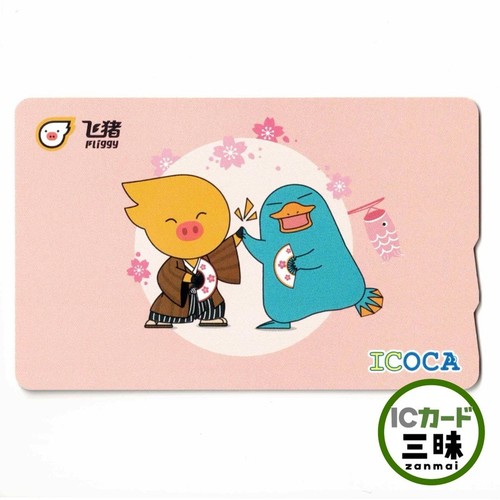 Scheda trasporto fliggy - scheda, ic