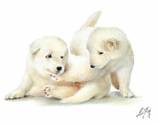 ✤ Dipinto ORIGINALE olio