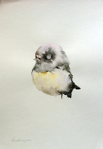 Tomtit uccellini opera - tomtit,,