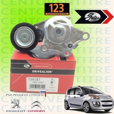 TENDICINGHIA TENDITORE per