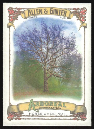 2021 topps allen - 2021,