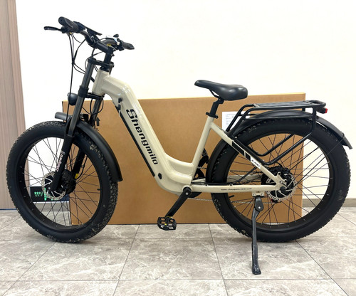 Bicicletta elettrica doppio
