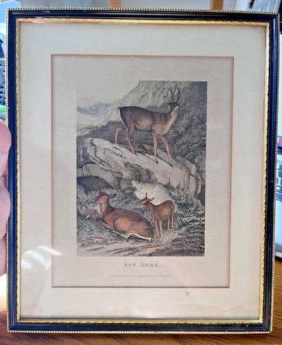 Capriolo 1823 rodwell - capriolo,, 1823.