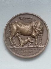 Napoleone 1809 Conquista dell'Illiria-variante