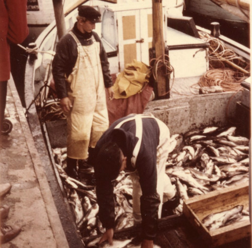 Foto epoca pescatori - d'epoca,