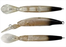 Smith Spina Trota Ancora Area