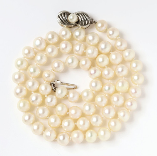 Collana perle akoya - collana,