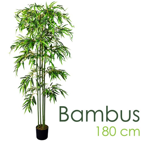 Pianta finta bambù - pianta, albero