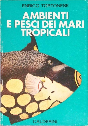 Ambienti pesci dei - dei, mari