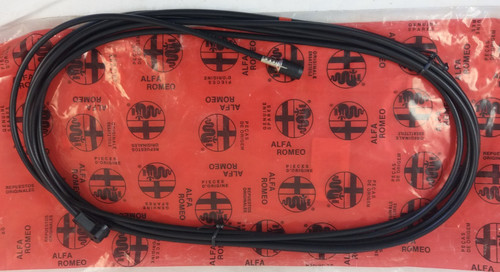 Cavo antenna autoradio