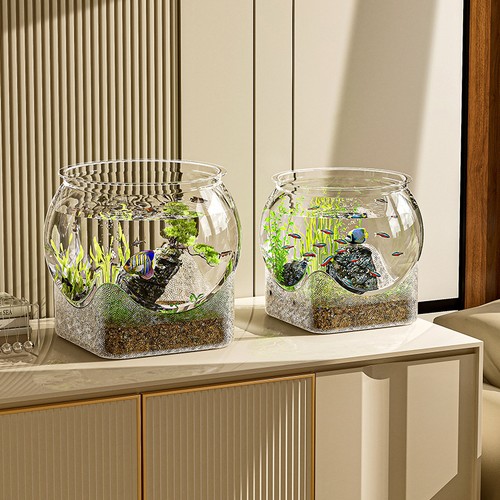 Fish tank acquario - fish,