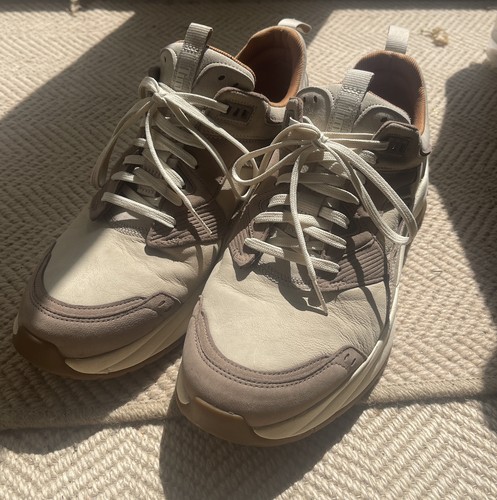 Sneakers uomo timberland - timberland, tree