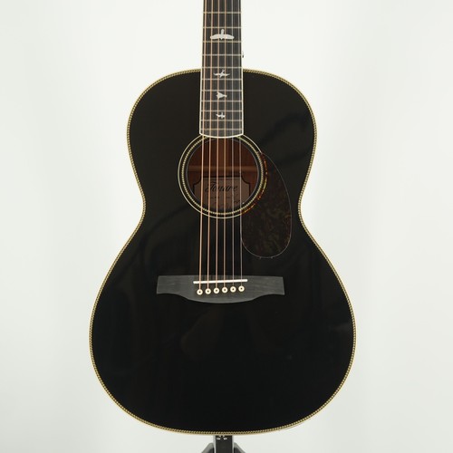 Prs p20e dog hair - se,