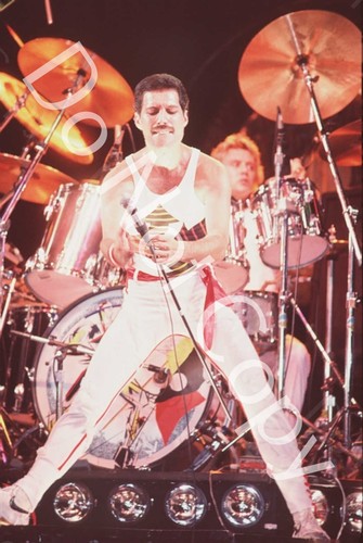 Queen freddie mercury - freddie,