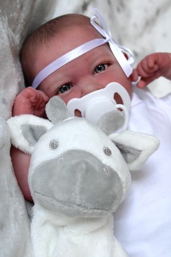 Realborn reborn fascio - realborn/reborn, di