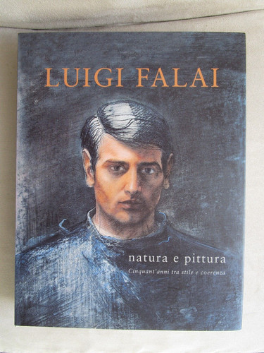 Luigi falai natura pittura - falai, e